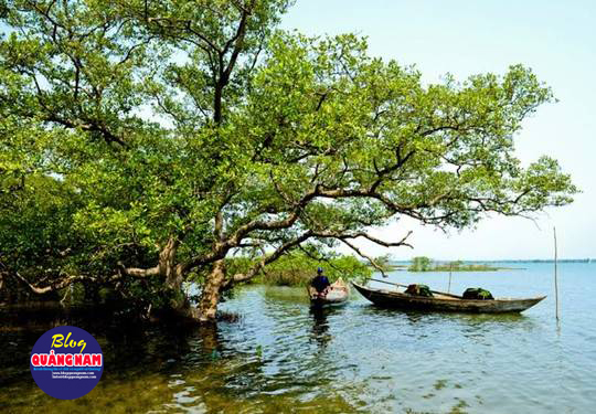 Người dân Tam Hải sống chủ yếu bằng nghề giăng câu, thả lưới. Ảnh: Hải Hoàng